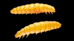 Larva 008 DARK YELLOW.jpg